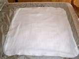 photos of Bed Bugs Sleep Sack