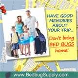 pictures of How To Get Bed Bugs Off Your Body