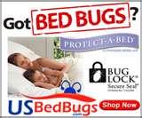Bed Bugs Dangerous photos