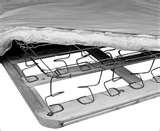 photos of Bed Bugs Box Springs