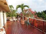 pictures of Bed Bugs Ixtapa