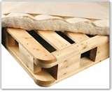 pictures of Bed Bugs Box Springs