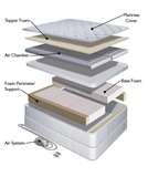 Bed Bugs Registry List