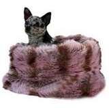 images of Bed Bugs Registry List
