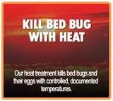 images of Bed Bugs Pco Treatment
