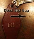 photos of Bed Bugs Hurt