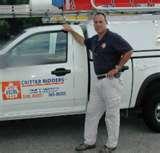 Bed Bugs Memphis Tn photos