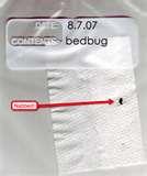 Bed Bugs Dc Apartments pictures