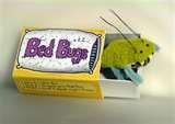Bed Bugs Etsy photos