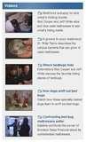 photos of Bed Bugs Photos Of Mattresses