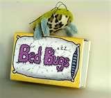 Bed Bugs Etsy images