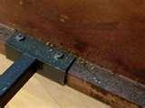 pictures of Bed Bugs 923