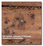 Bed Bugs Ohio Registry