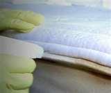 Bed Bugs Photos Of Mattresses images
