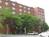 Bed Bugs Dc Apartments images