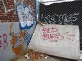 Bed Bugs Box Spring