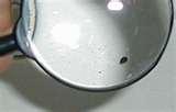 pictures of Bed Bugs Power