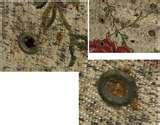 Bed Bugs Box Spring images