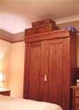 images of Bed Bugs Hepatitis