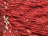 photos of Bed Bugs Hepatitis