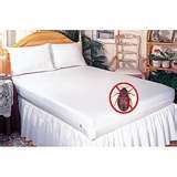 Where Do Bed Bugs Sleep images