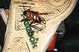 photos of How Are Bed Bugs Spread