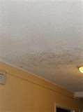 Bed Bugs Virginia Beach Hotels