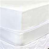 images of Bed Bugs Ironing Clothes