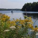 images of Bed Bugs Government Of Canada