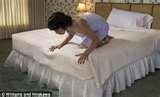 Bed Bugs Nightmare pictures