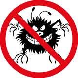 Bed Bugs Registry Miami pictures