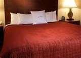 images of Hotel 71 Bed Bugs