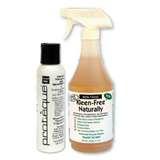 pictures of Bed Bugs Kleen