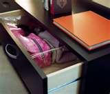 Bed Bugs Registry Miami pictures