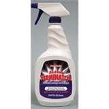 photos of Bed Bugs Kleen