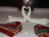 photos of Hotel 71 Bed Bugs