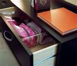 pictures of Bed Bugs Registry Miami