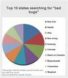 Bed Bugs Is Usa images