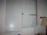 Hotel 71 Bed Bugs pictures
