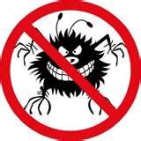 Bed Bugs Registry Miami