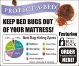 photos of Bed Bugs Edmonton 2012