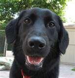 Exterminator Bed Bugs Jersey City