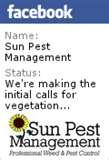 Bed Bugs Pullman