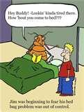 pictures of Bed Bugs Occur