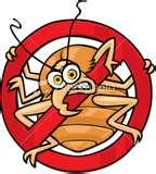 Bed Bugs Chemicals pictures