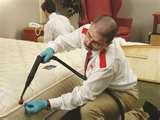 Bed Bugs Chemicals photos