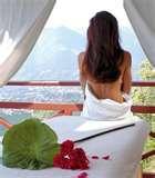 images of Are Bed Bugs Real