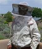 photos of Bed Bugs Santa Fe Nm