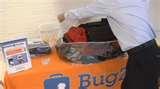 images of Bed Bugs Japan