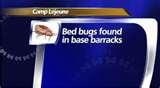 images of Bed Bugs Charlotte